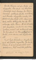 Seite 29, Tagebuch "Groß-Weikersdorf | Wetzdorf (hinten!), Tulln, Kiblitz" (NHMW-PRAE-BBB-32)